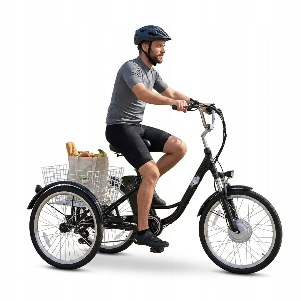 Electric Tricycle GOGOBEST GF100 350W 35KM/H 15AH 24" 70KM PL