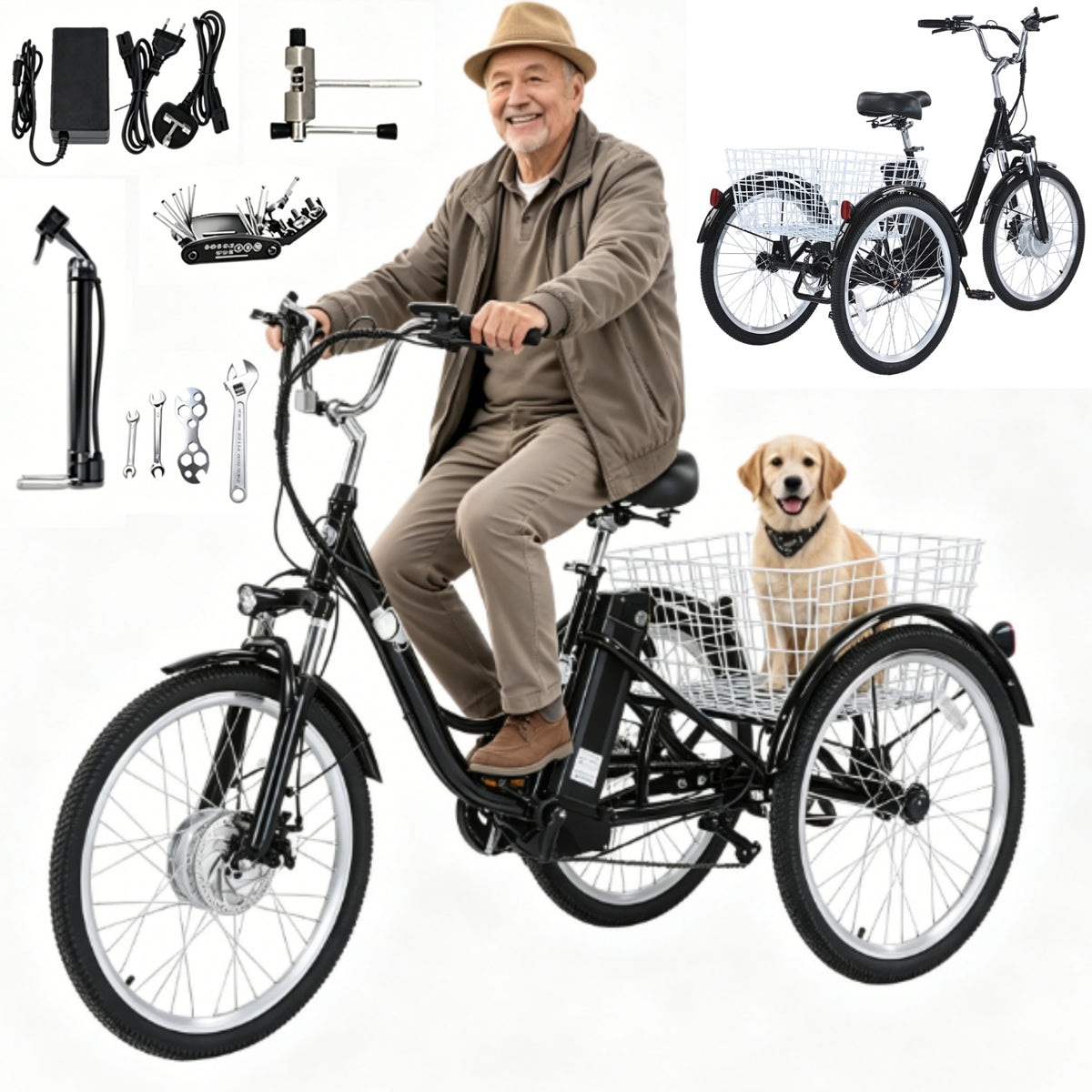 Electric Tricycle Vehicle GF100 350W 36V 18AH 35KM/H 70KM 15AH 24"