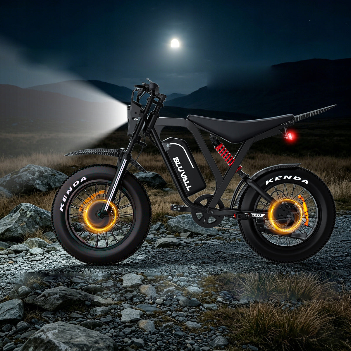 Electric Vehicle Bluvall R700 Dual motor 3000W 180N.m 52V 25Ah 55KM/H Packaging status original