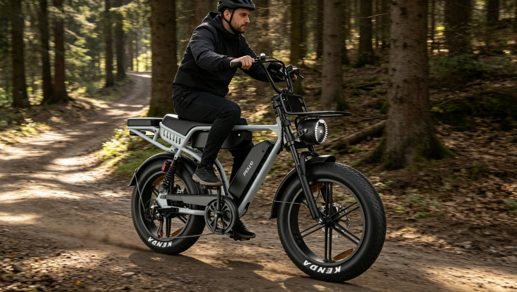 Electric Vehicles Pixar M9 750W 48V 45KM/H 130HP 35Ah 20" Off-road Manufacturer code 8908008896538