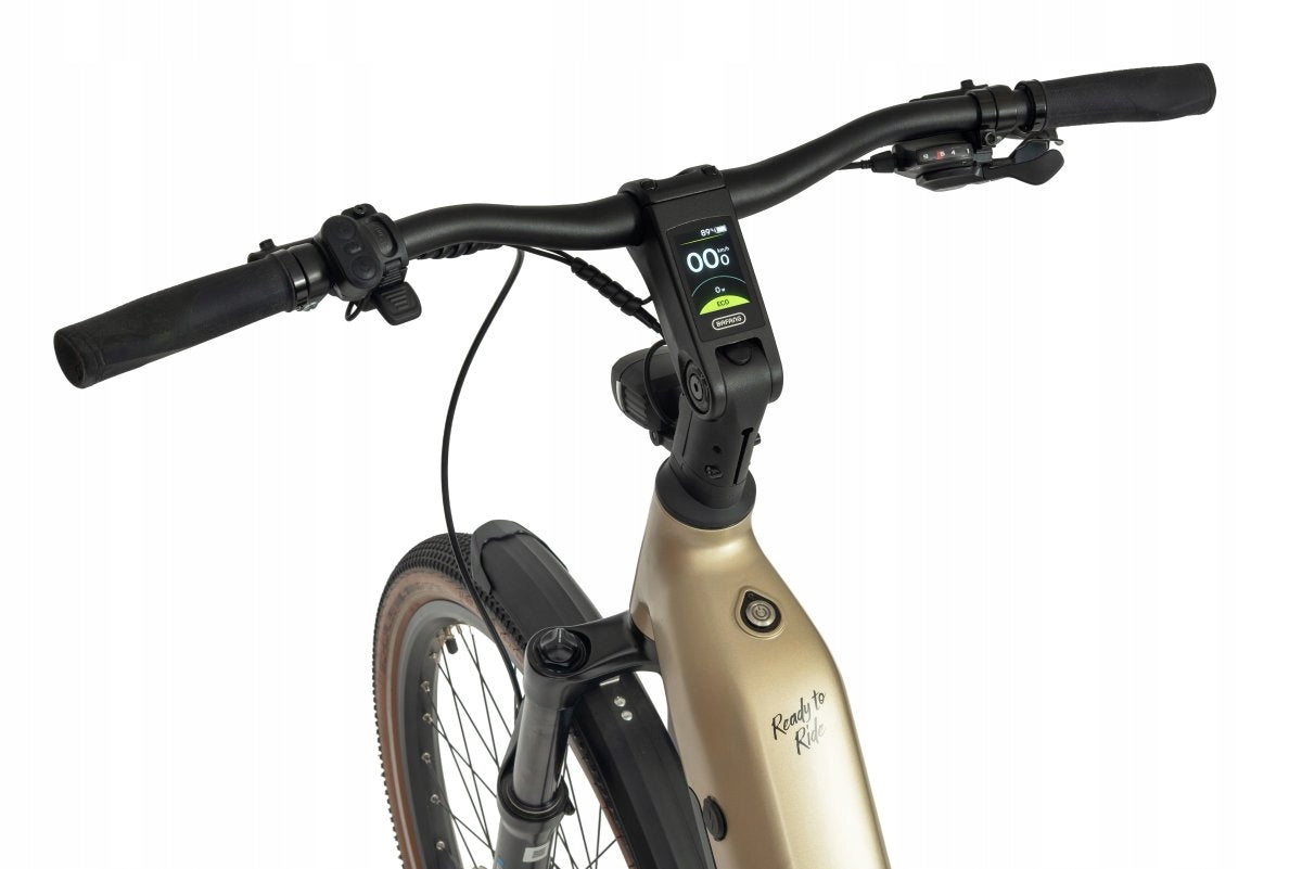 Electric bike 28 Ecobike FLEX L 100 N.m. battery 25 AH 900 wh 2026 Brand Ecobike
