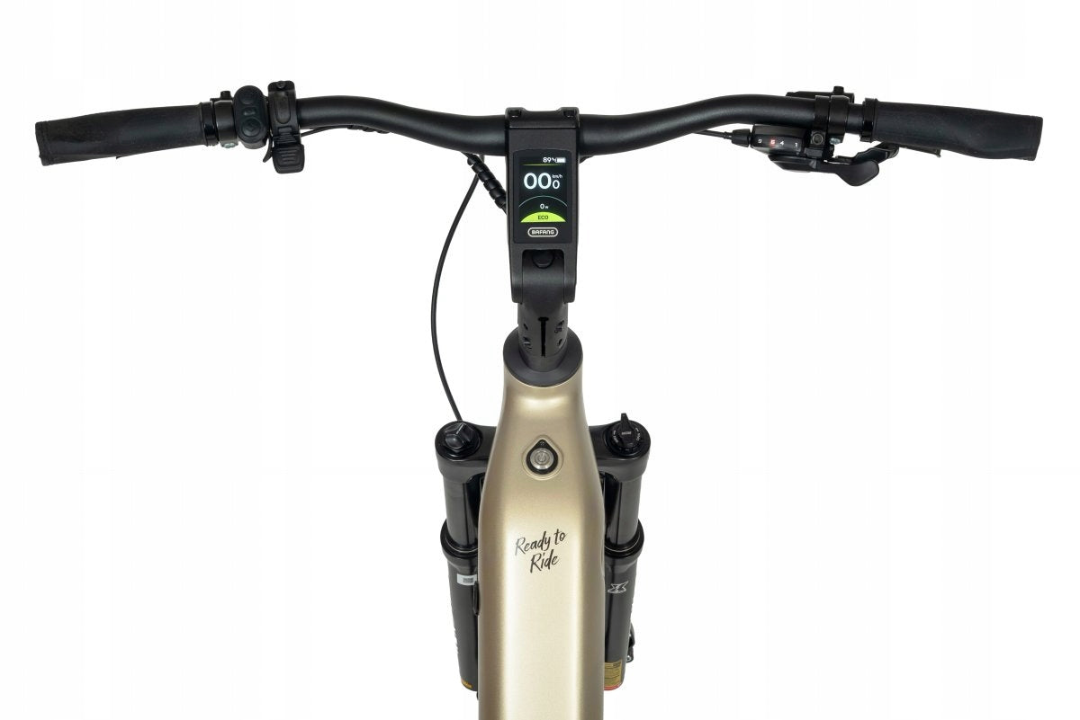 Electric bike 28 Ecobike FLEX L 100 N.m. battery 25 AH 900 wh 2026 Model Flex Titan