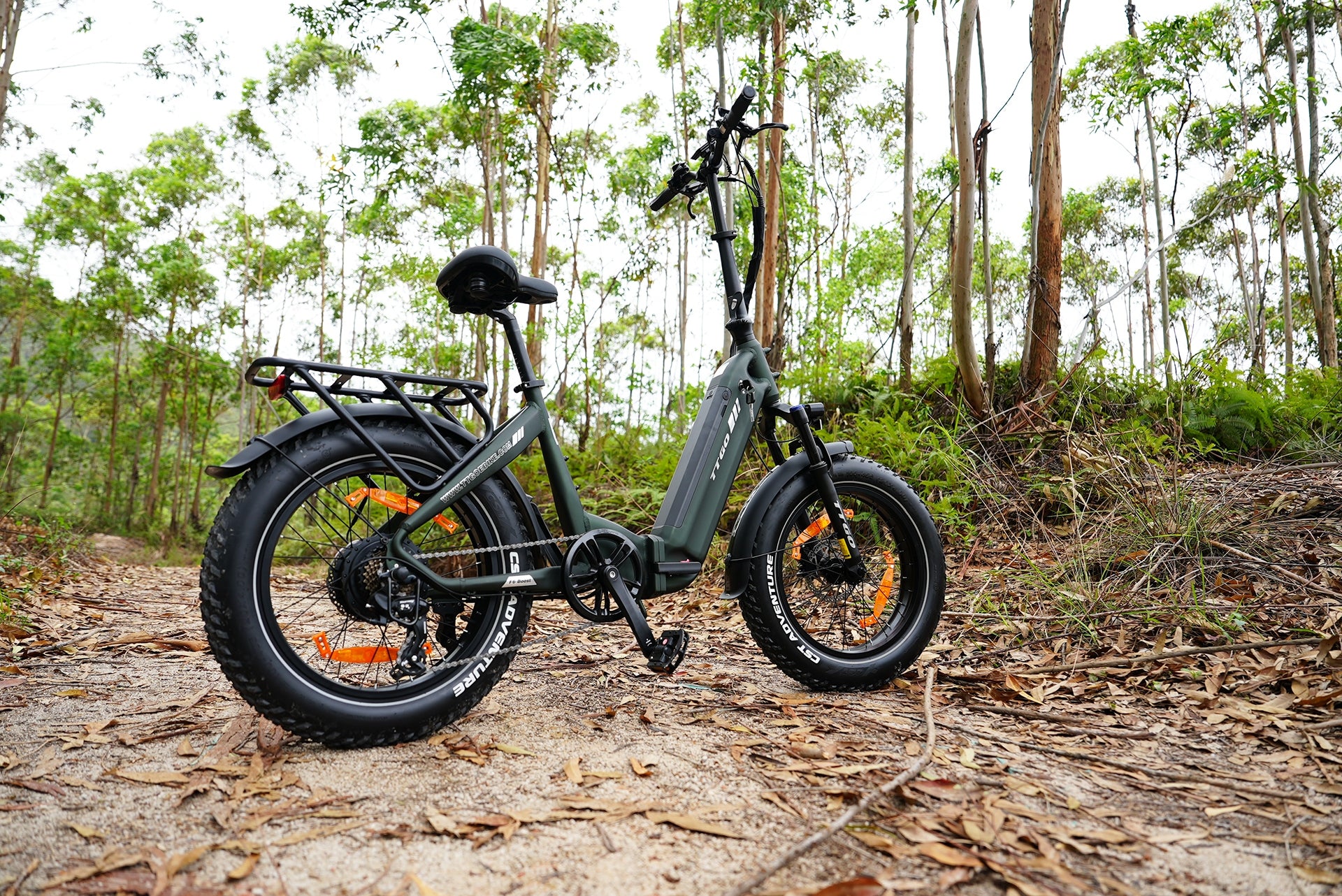 Electric bike TTGO F6 Boost 250W 48V 18AH 25km/h 150HP Oil brake Model TTGO F6 Boost 250W 48V 18AH 25km/h zielony