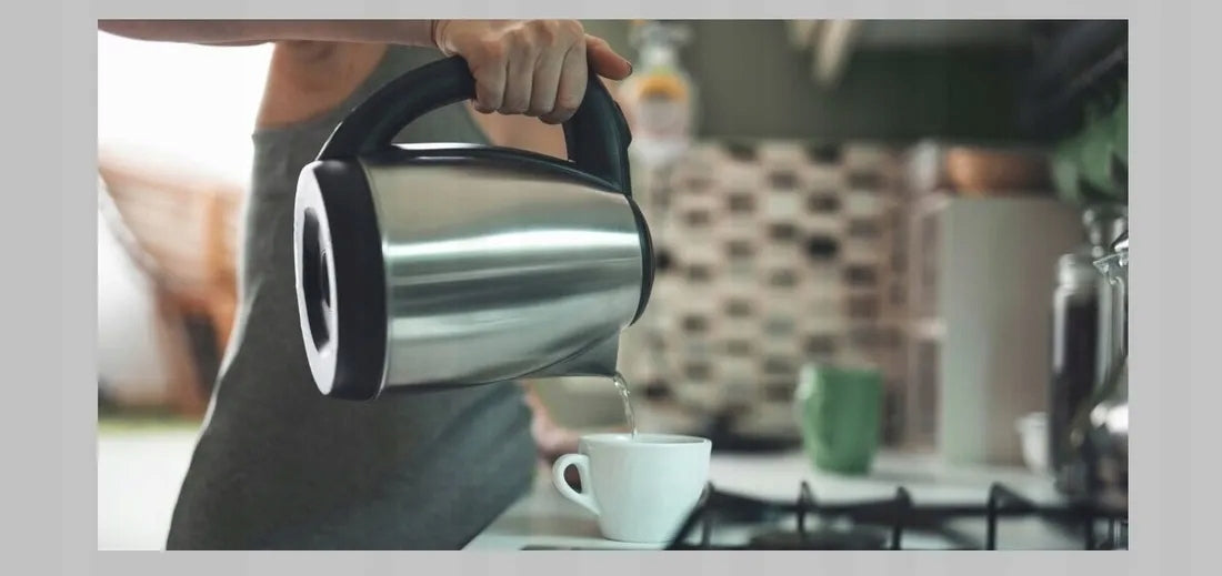 Electric kettle ESPERANZA Spring 1.0 L EKK116X Silver Matte Model Spring