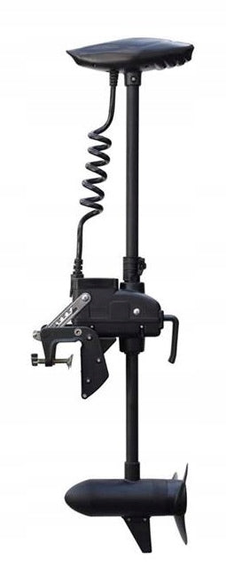 Electric motor Haswing Cayman T 55 600W PILOT