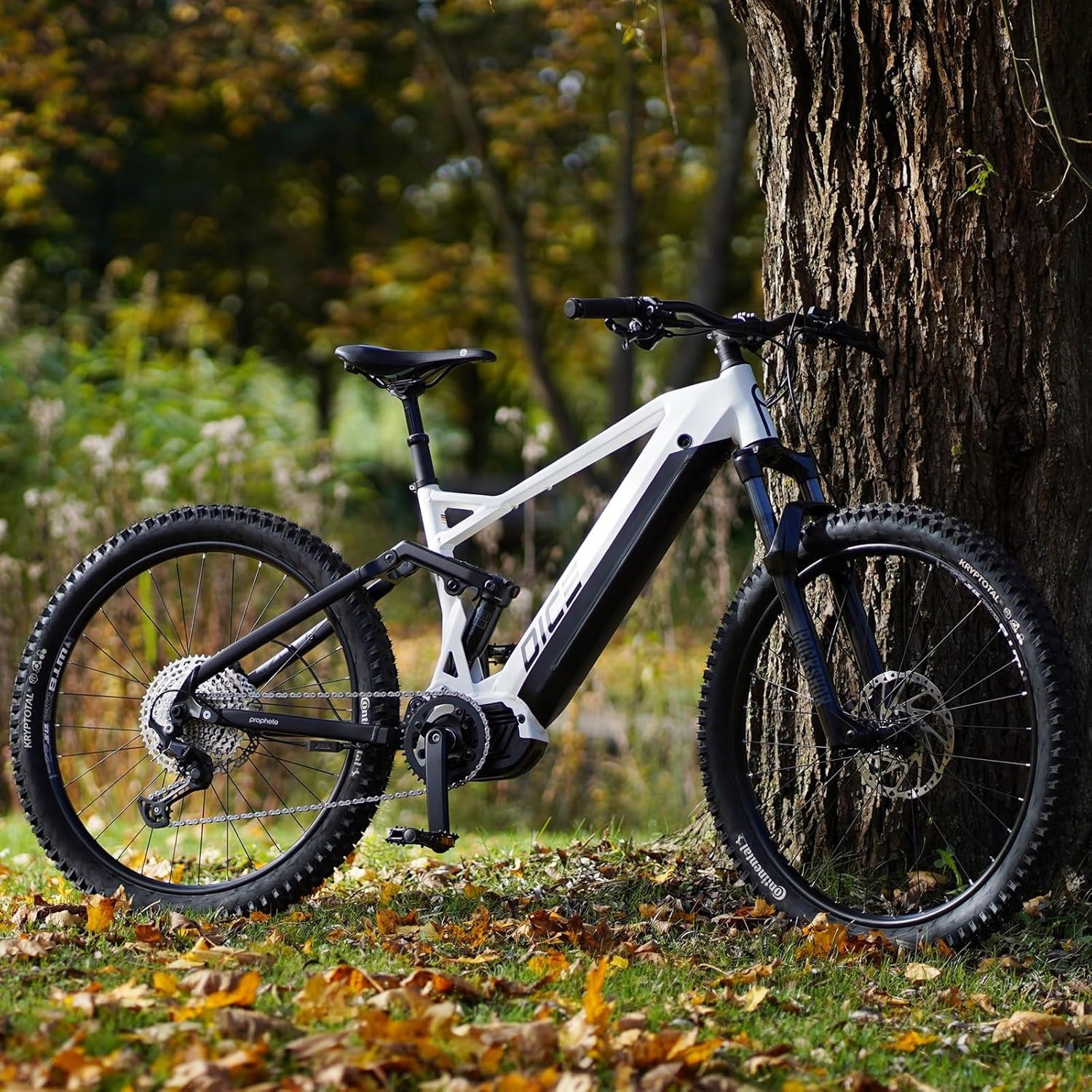 Electric mountain bike Prophete Dice 5.0 E-MTB 27,5" frame 48 cm Model DICE