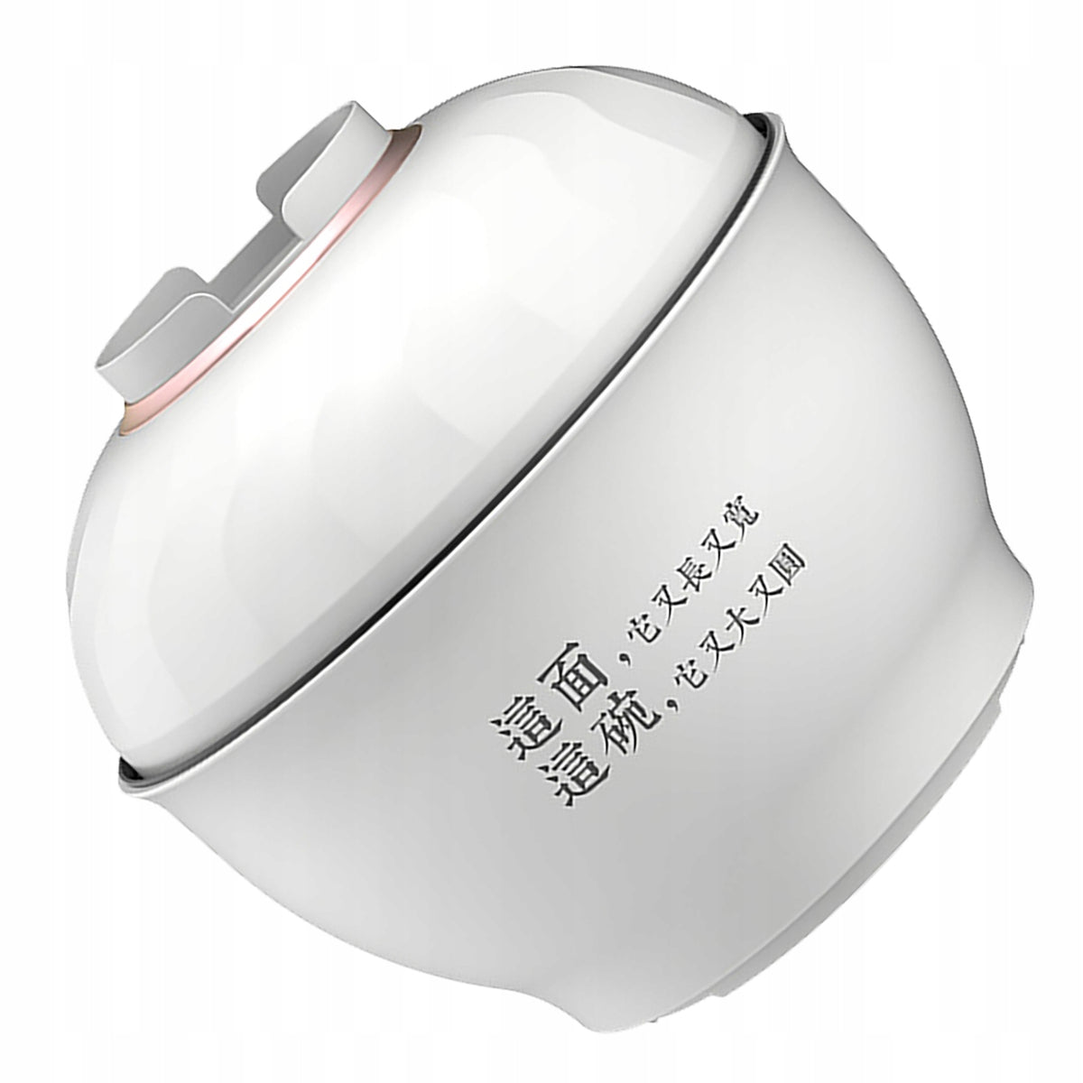 Electric pasta pot multifunctional fast heating mini YC