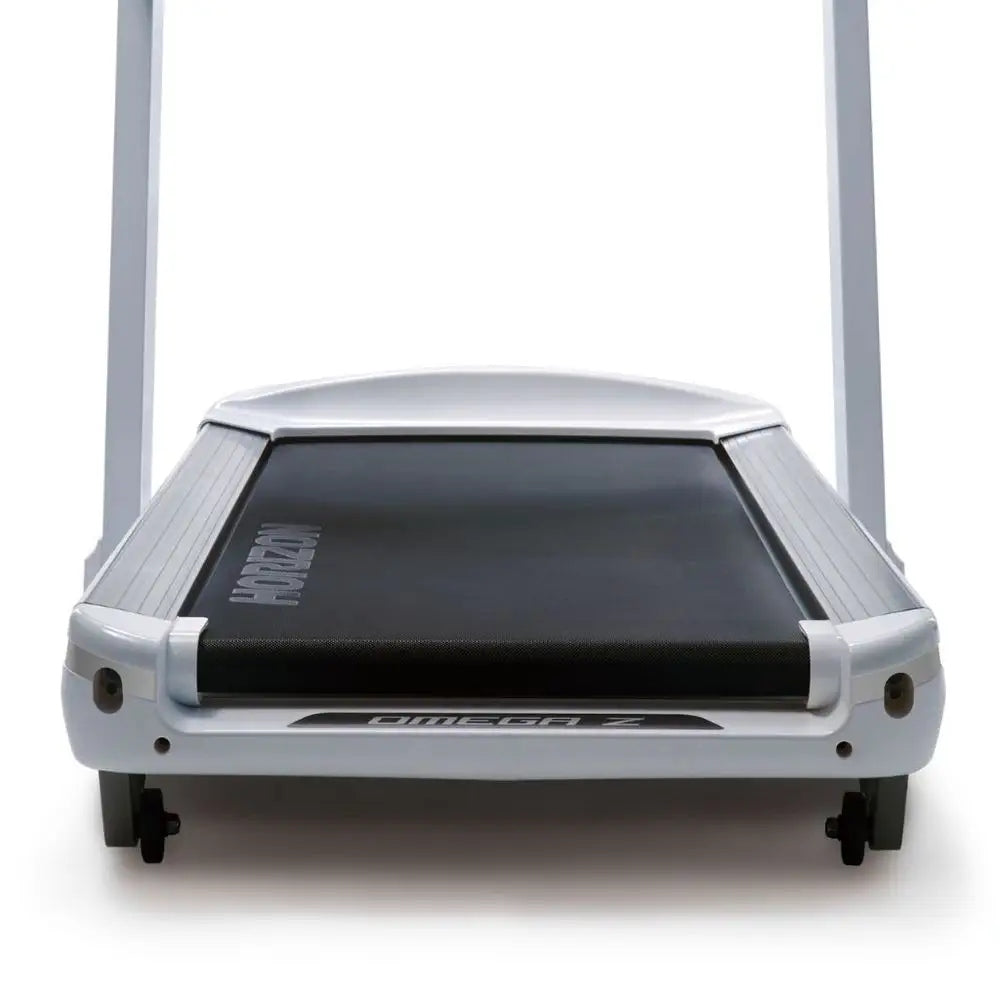 Electric treadmill Horizon Omega Z up to 159 kg Model other