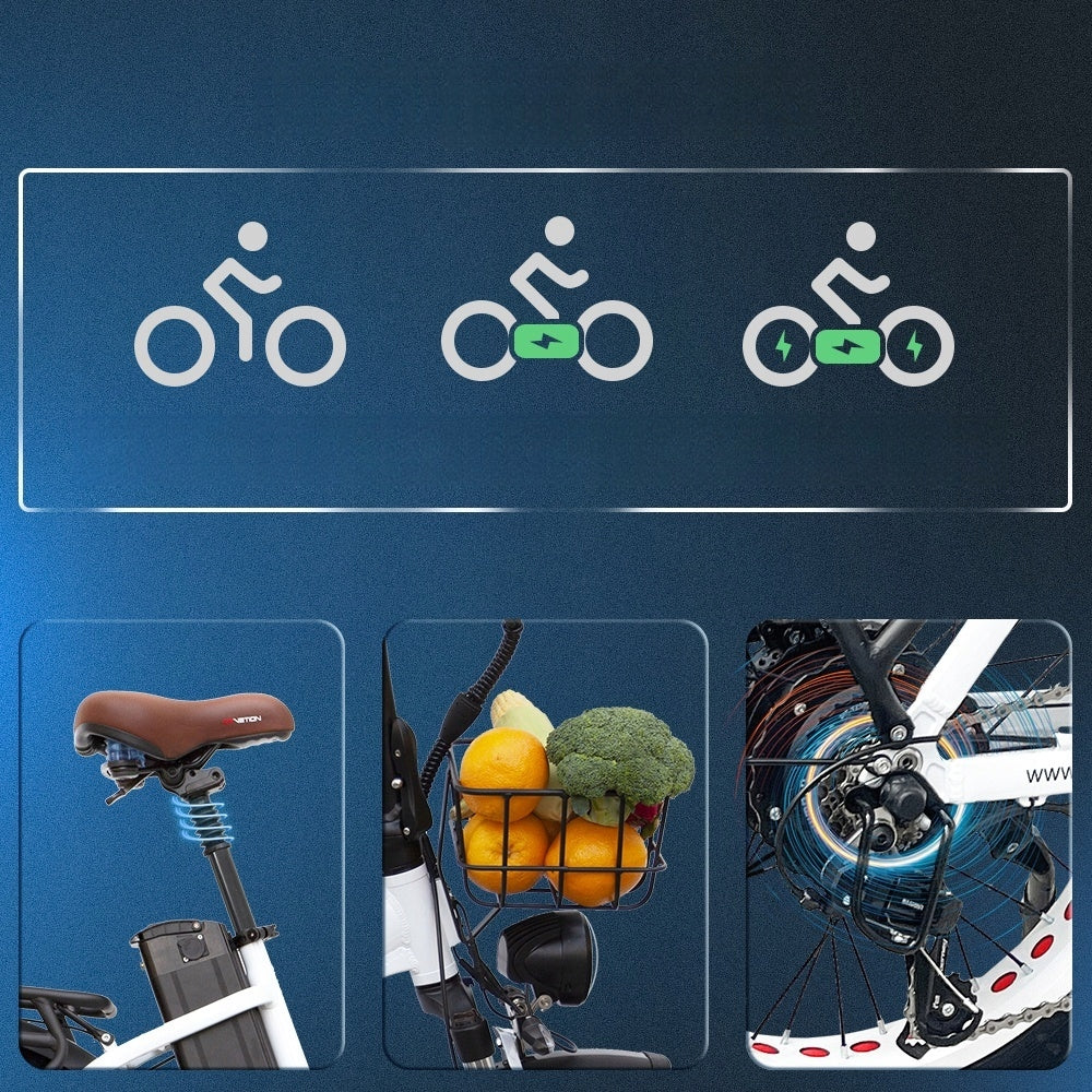 Electric vehicle DRVETION CT20 48V 20AH 750W 55km/h 75km 20" fat tire Manufacturer code zz CT20 48V 20AH