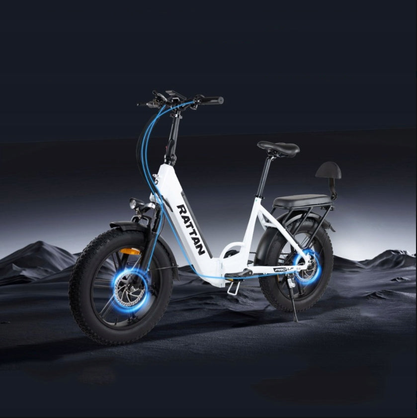 Electric vehicle RATTAN LF PRO 750W 48V 18AH 40km/h 20*4"Thick Tyre Brand no brand