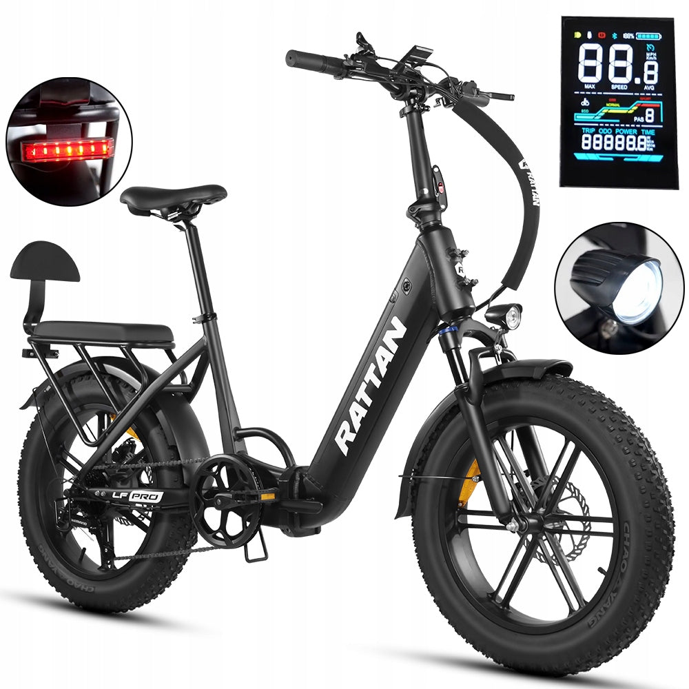 Electric vehicle RATTAN LF PRO 750W 48V 18AH 40km/h 20*4"Thick Tyre
