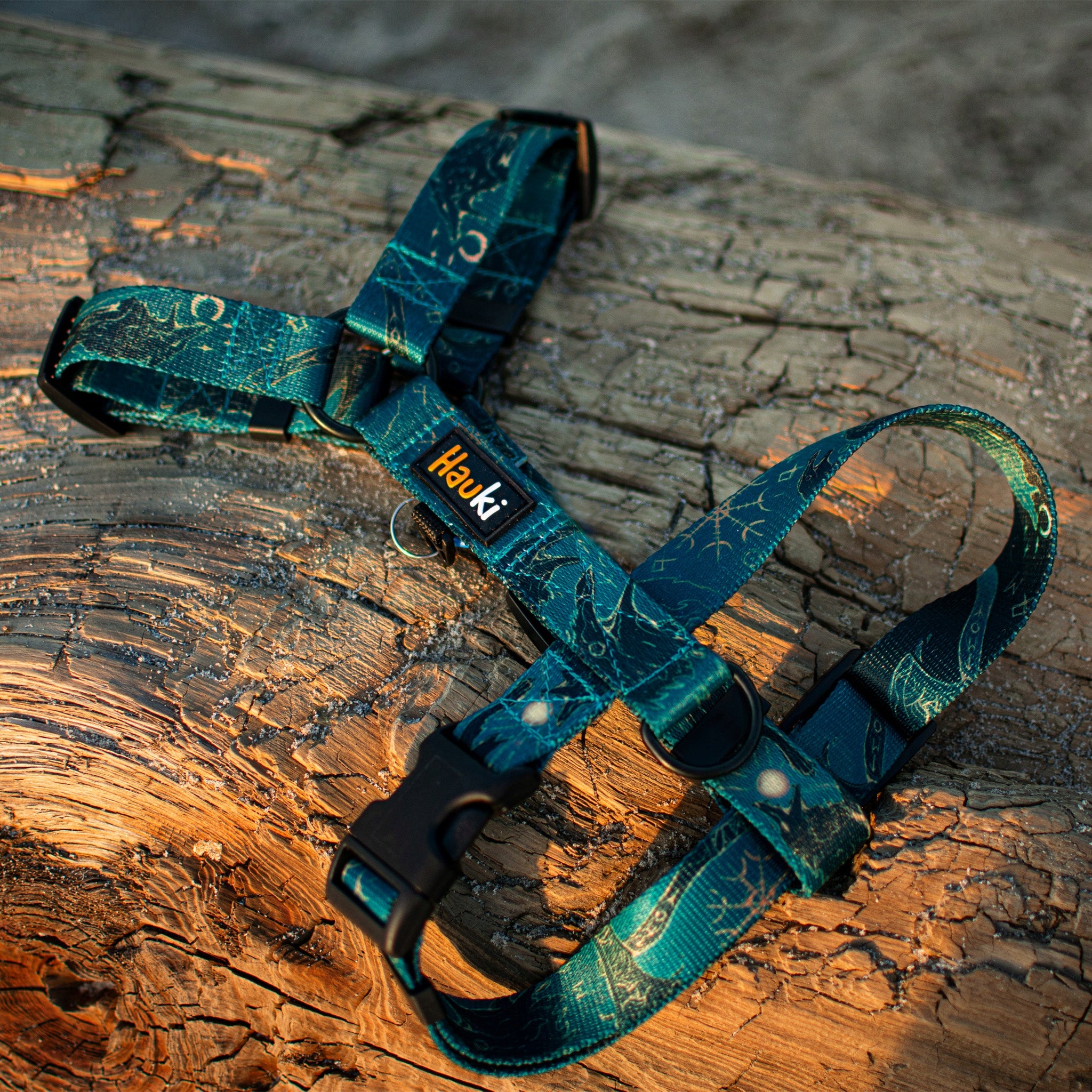 Elegant dog harness. Black fittings. Fenrir pattern - Hauki - Size XS Dog size small dog