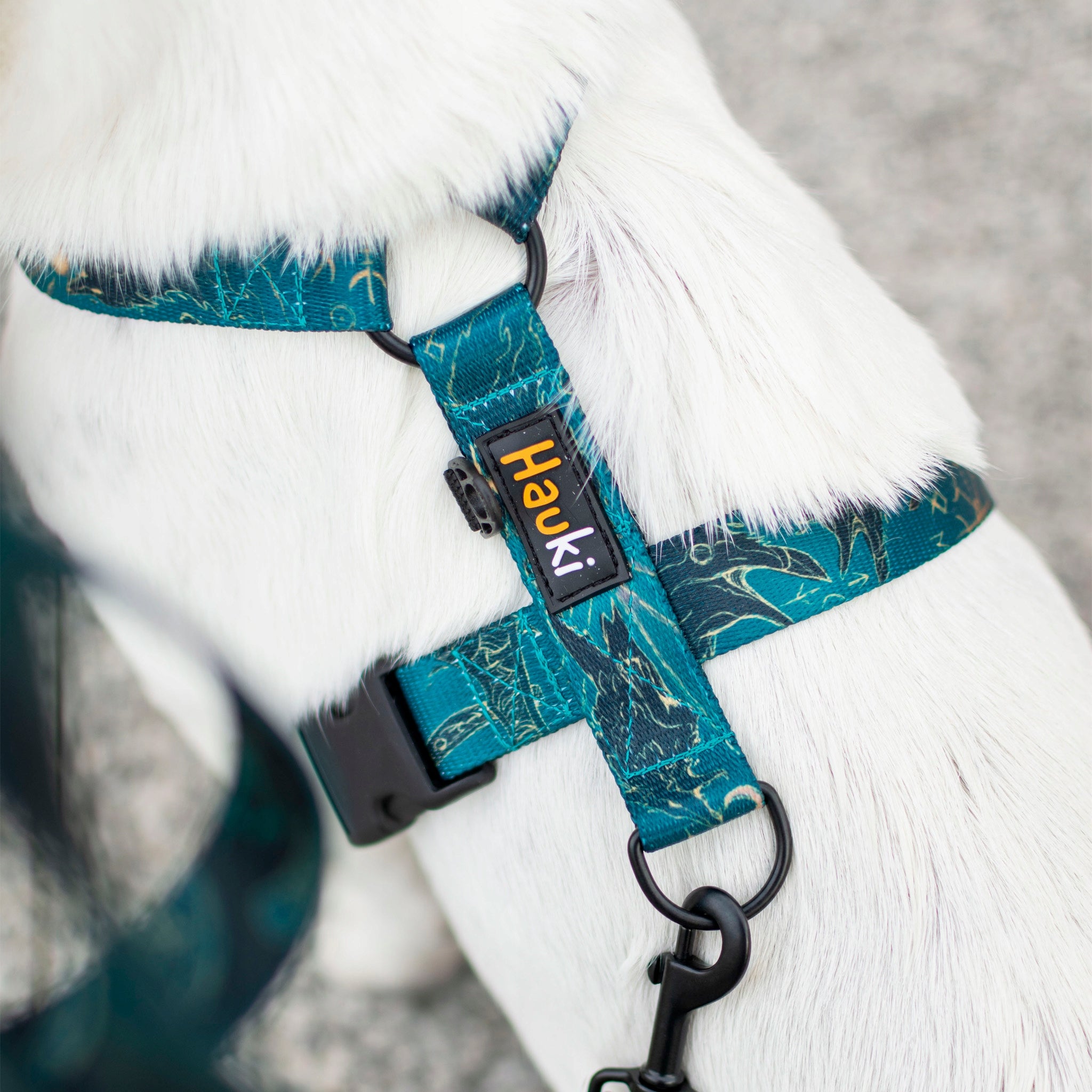Elegant dog harness. Black fittings. Fenrir pattern - Hauki - Size XS Kind walking harness