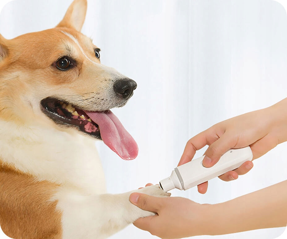 Pawbby Elektrische Nagelfeile für Hunde 