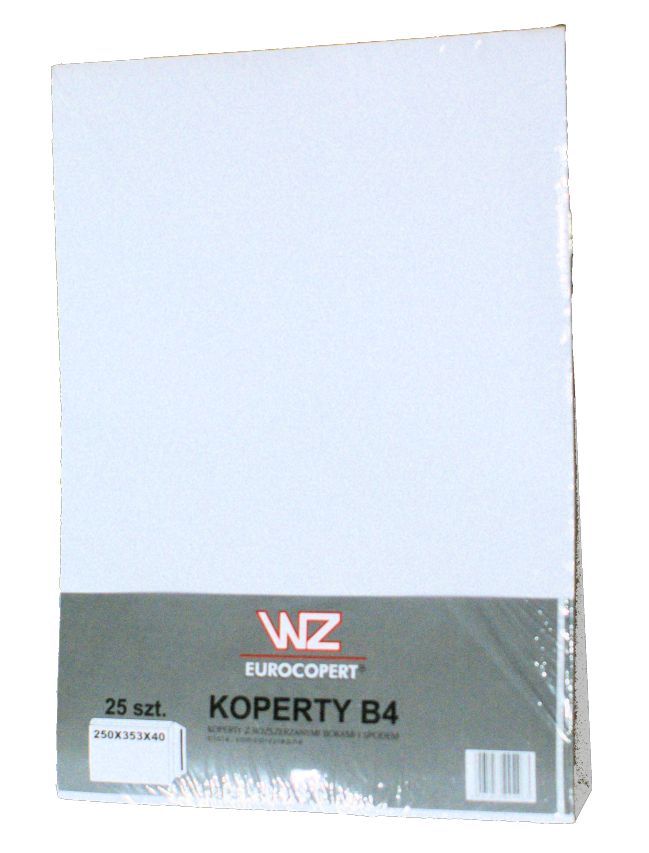 Envelope B-4 White 250x353x40 - High Quality Packing Product