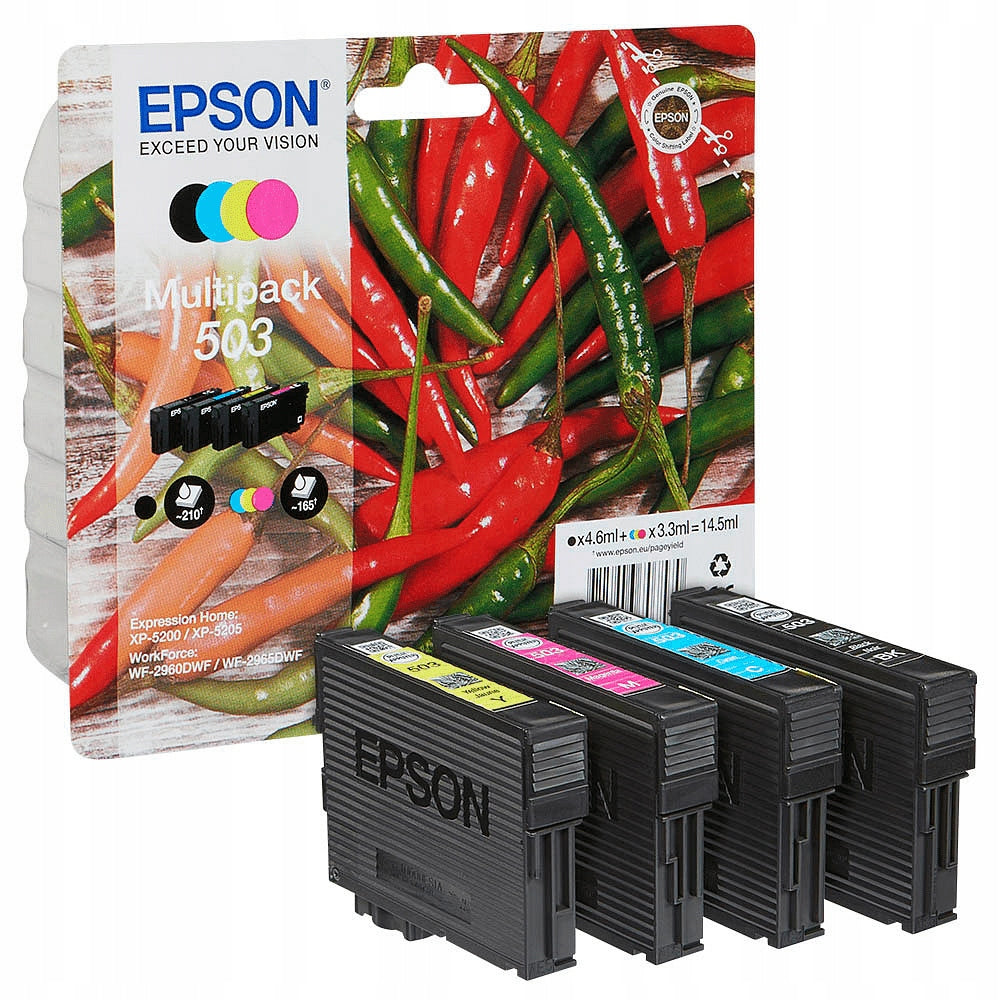Epson 19 Series C13T09Q64010 ink