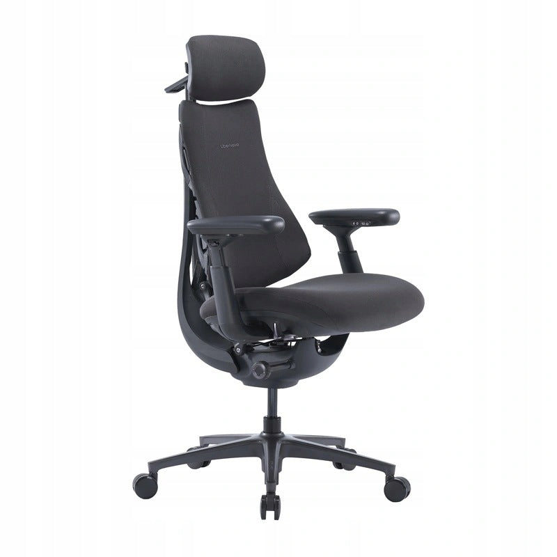 Ergonomic Armchair LIBERNOVO Omni Pro 45 cm Office With Graphite Ventilation Packaging status original