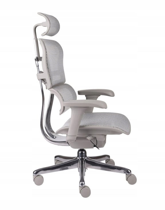 Ergonomic Office Chair Swivel Chair Ergohuman 2 Basic Mesh Grey Packaging status original