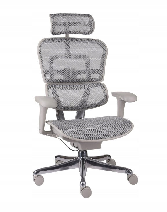 Ergonomic Office Chair Swivel Chair Ergohuman 2 Basic Mesh Grey