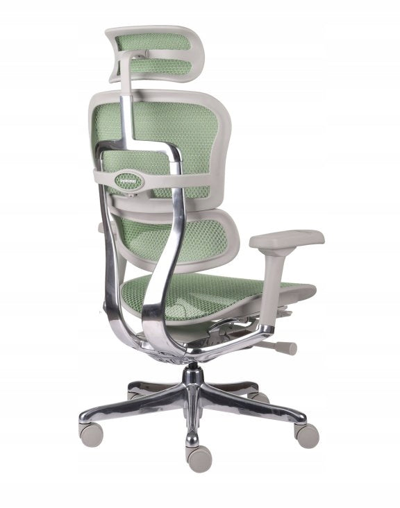 Ergonomic Office Chair Swivel Chair Ergohuman 2 Elite Mesh Green Packaging status original