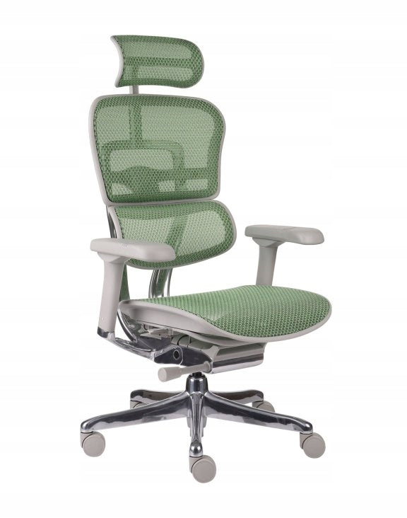 Ergonomic Office Chair Swivel Chair Ergohuman 2 Elite Mesh Green