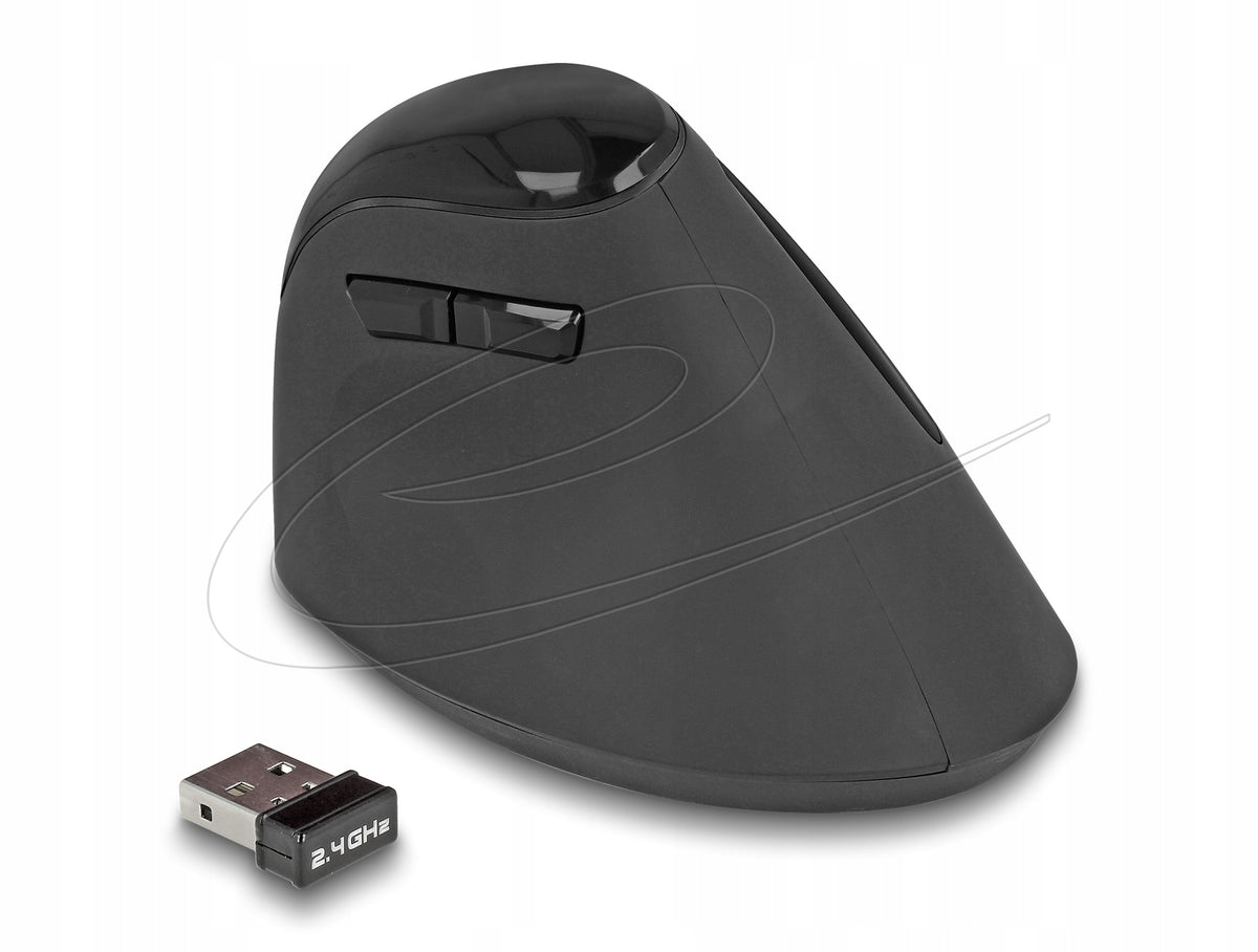 Ergonomic USB Wireless Vertical Mouse Delock 12599 Manufacturer code 12599