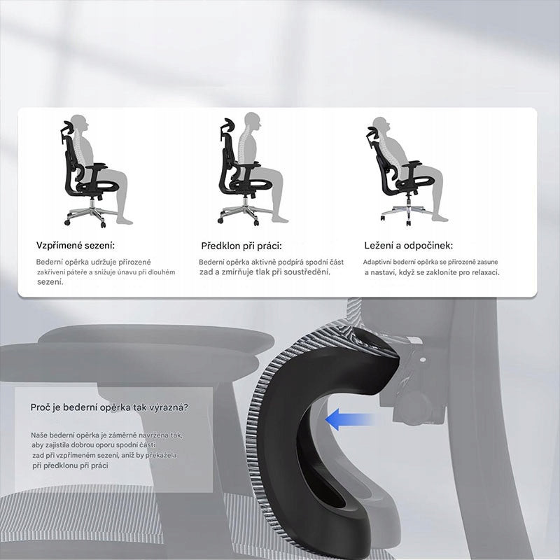 Ergonomic office chair C7DG-Lite-Pro-V2, dark gray Brand Flexispot