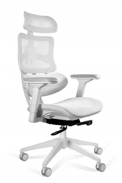 Ergonomic office chair ERGOTECH white frame in accordance with the EU directive