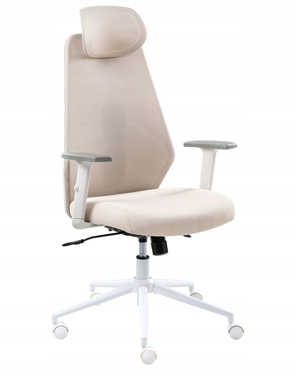 Ergonomic office chair beige