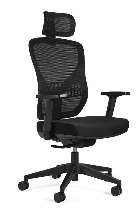 Ergonomic swivel chair MASTER black