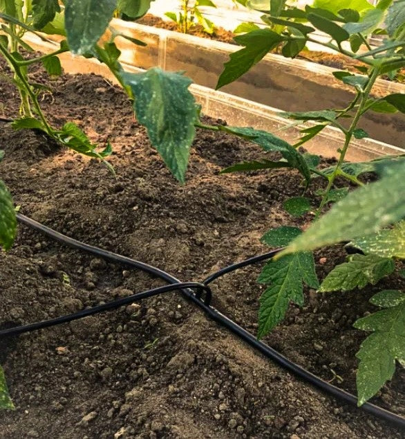 Extensive PRO irrigation system for garden greenhouses up to 72 plants EAN (GTIN) 8606112432030