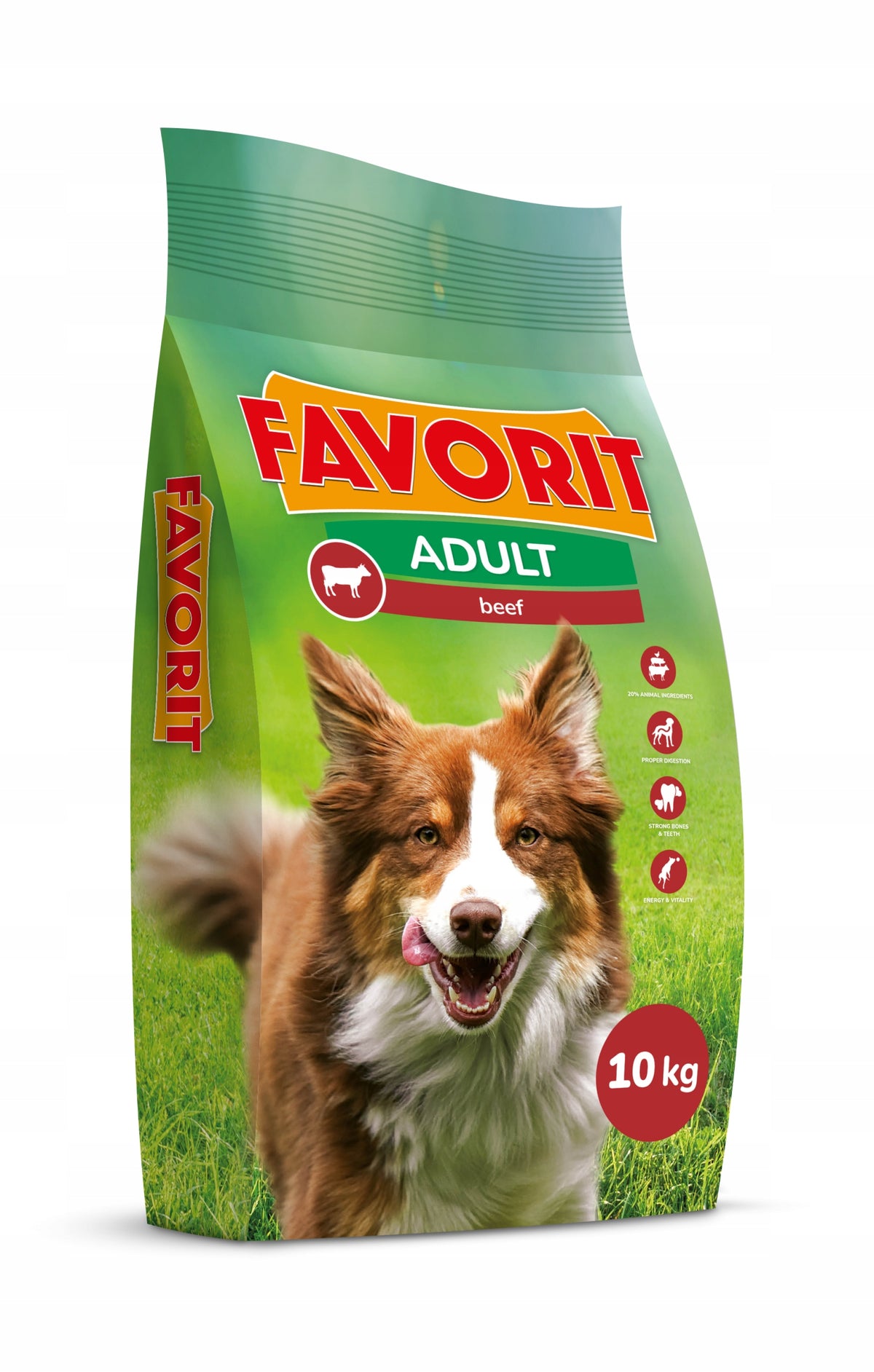 FAVORIT Dog food with BEEF 10kg