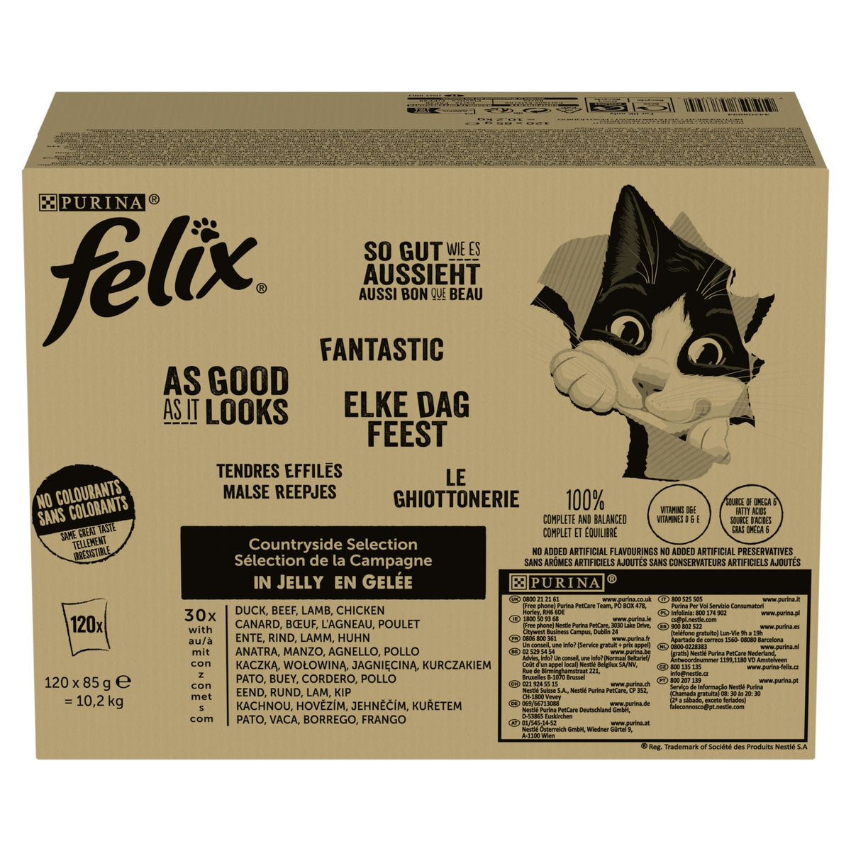 FELIX FANTASTIC RURAL FLAVORS IN JELLY - WET FOOD, SACHETS 120X85G Packaging status original