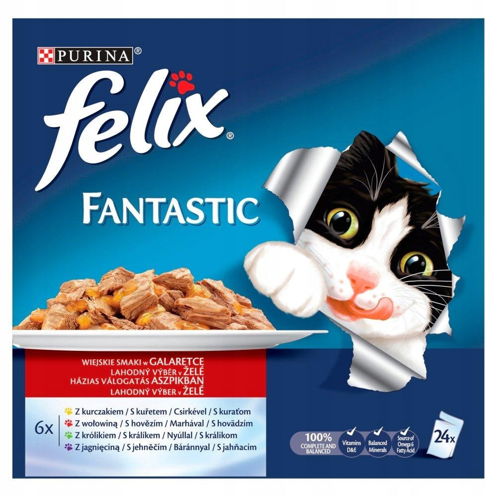 FELIX FANTASTIC RURAL JELLY FLAVORS (24x85g) Packaging status original
