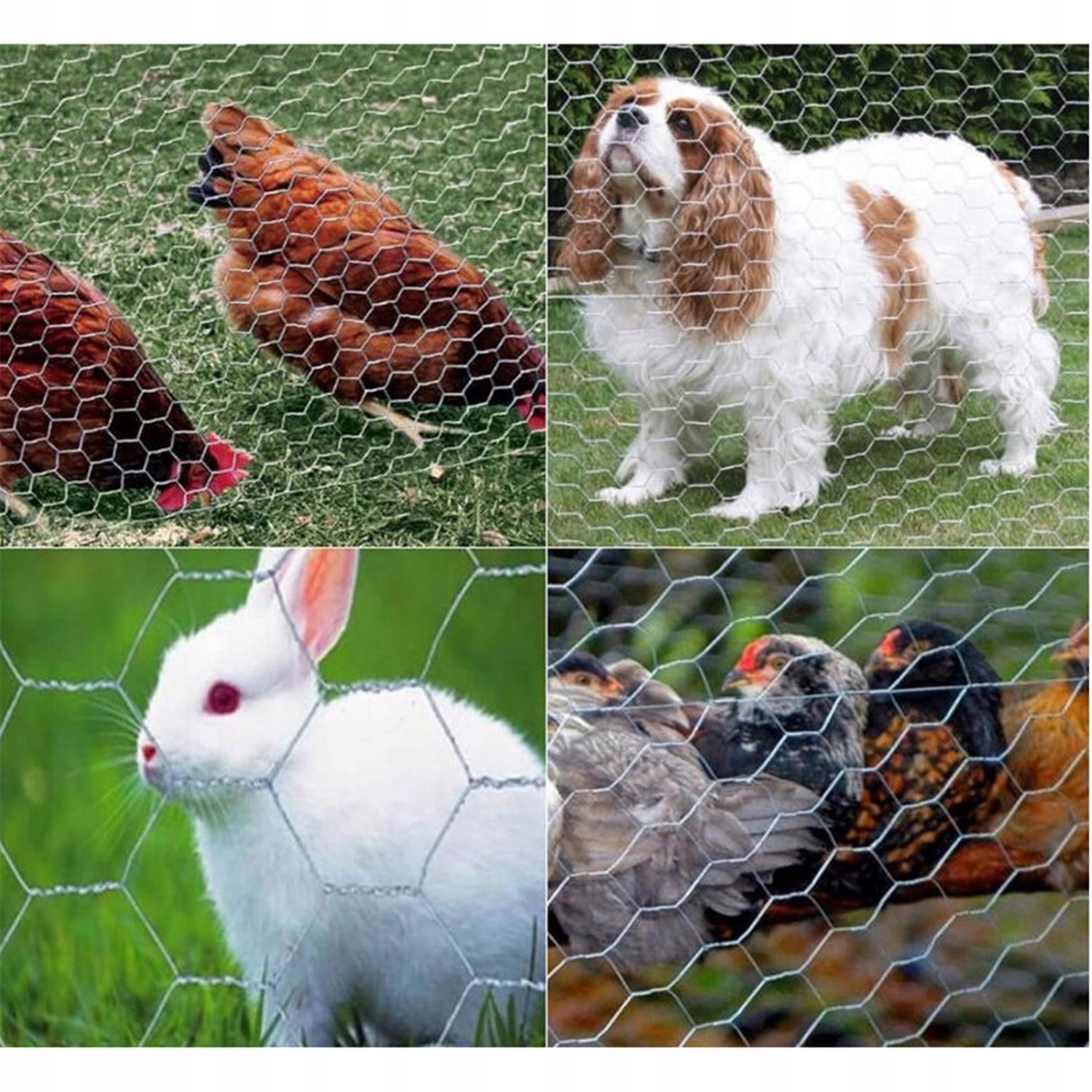 FENCE MESH FOR POULTRY CHICKENS METAL GARDEN EYELETS METALOW 0.4x10M Manufacturer code ZREE-HG11263