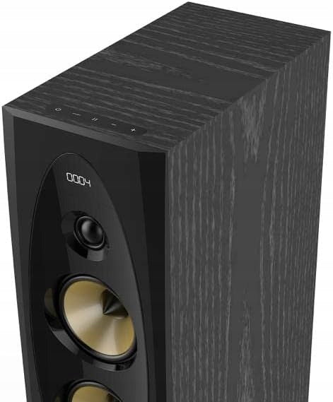 FENDA T-60X PRO floor speakers for TV, Computer, BLUETOOTH Brand Fenda