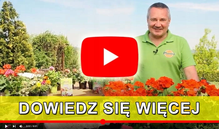 FERTILIZER 3kg FOR GARDEN - VEGETABLES FLOWERS TREES BUSH LAWN PLANTA GARDEN Packaging status original