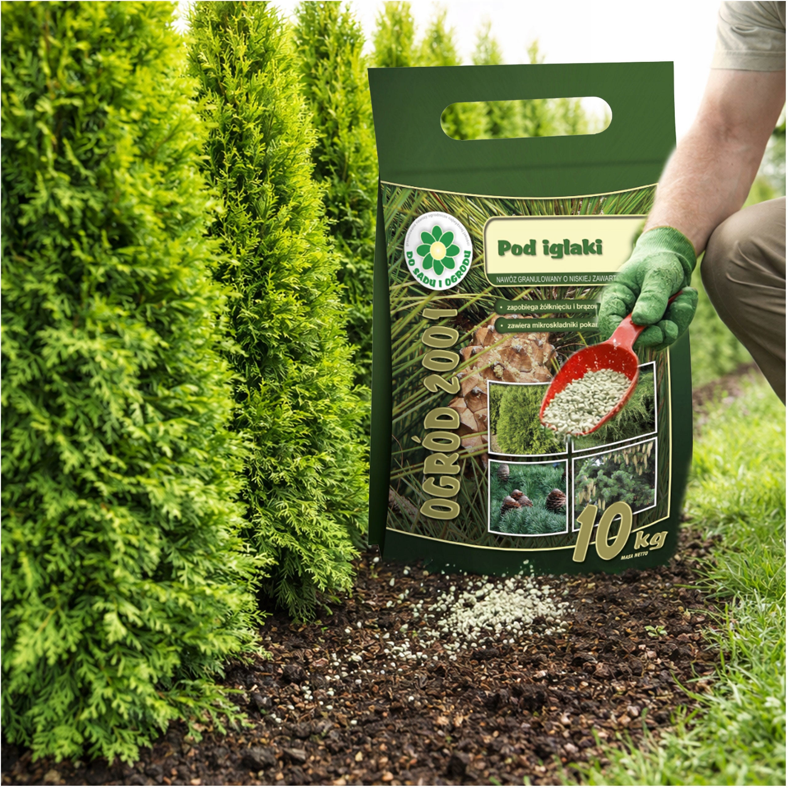 FERTILIZER CONIFER 10 kg CONIFERS FOR BROWNING CONIFEROUS SHRUBS SIARKOPOL Packaging status original