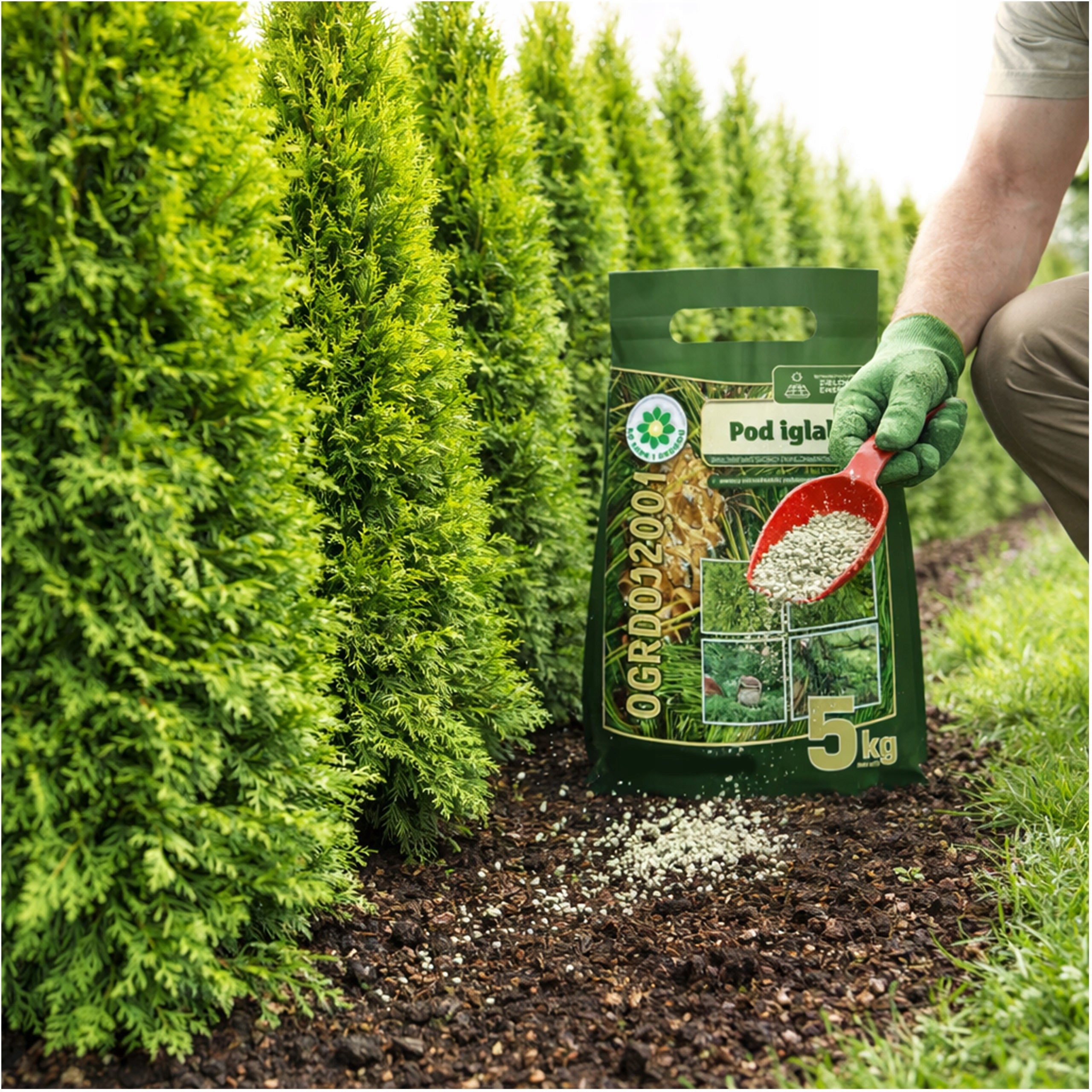 FERTILIZER CONIFERS 5kg CONIFERS FOR BROWNING CONIFEROUS SHRUBS SIARKOPOL Packaging status original