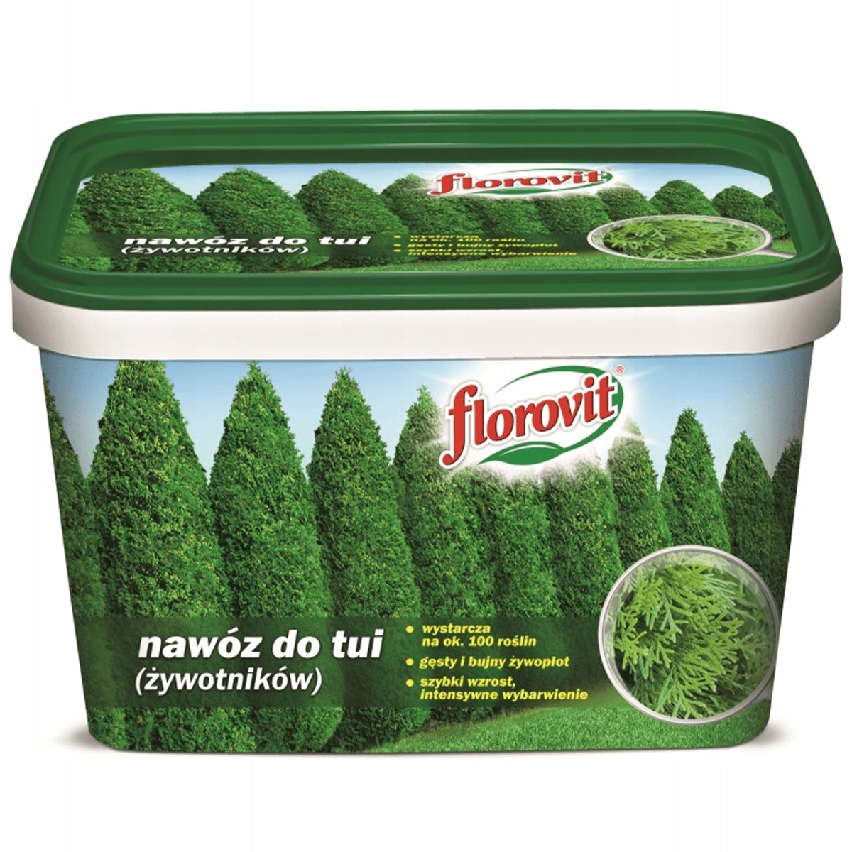 FERTILIZER FOR THUJA VITAMINS 4kg UNDER TUJE THUJE CONIFERS FLOROVIT GRANULATED Packaging status original