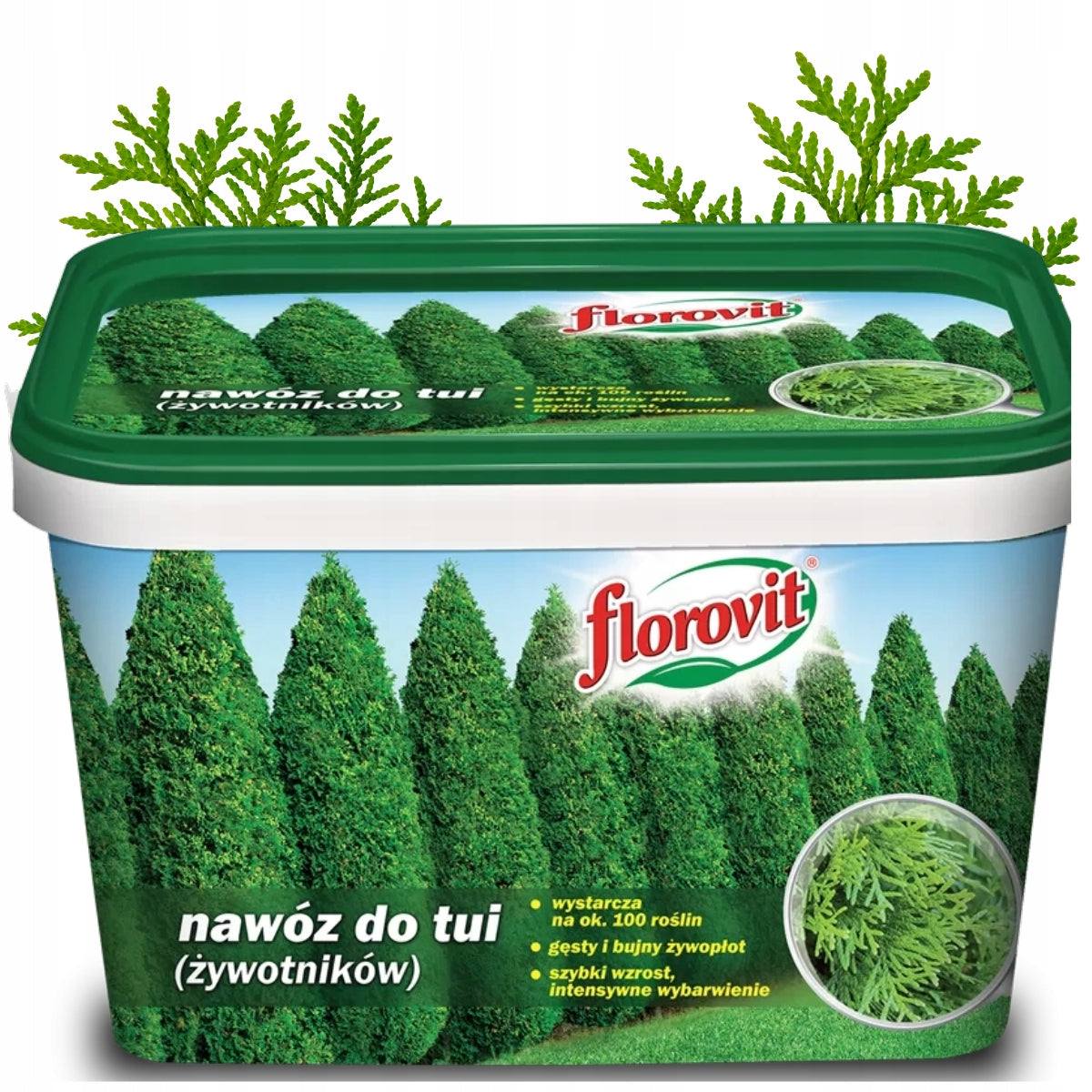 FERTILIZER FOR THUJA VITAMINS 4kg UNDER TUJE THUJE CONIFERS FLOROVIT GRANULATED