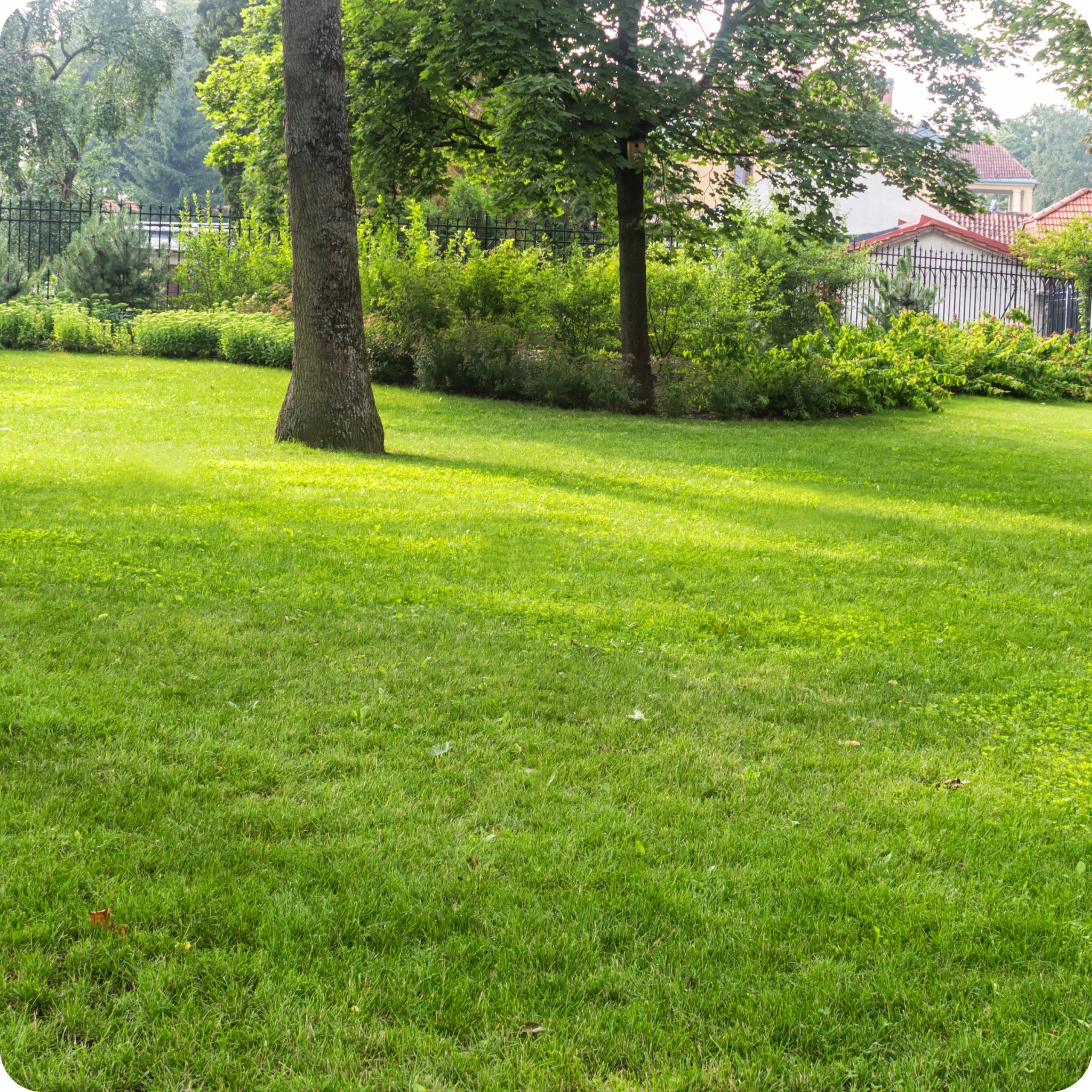 FERTILIZER HUMIC ACIDS HUMUS ROSAHUMUS 1kg IMPROVES SOIL FERTILITY Packaging status original