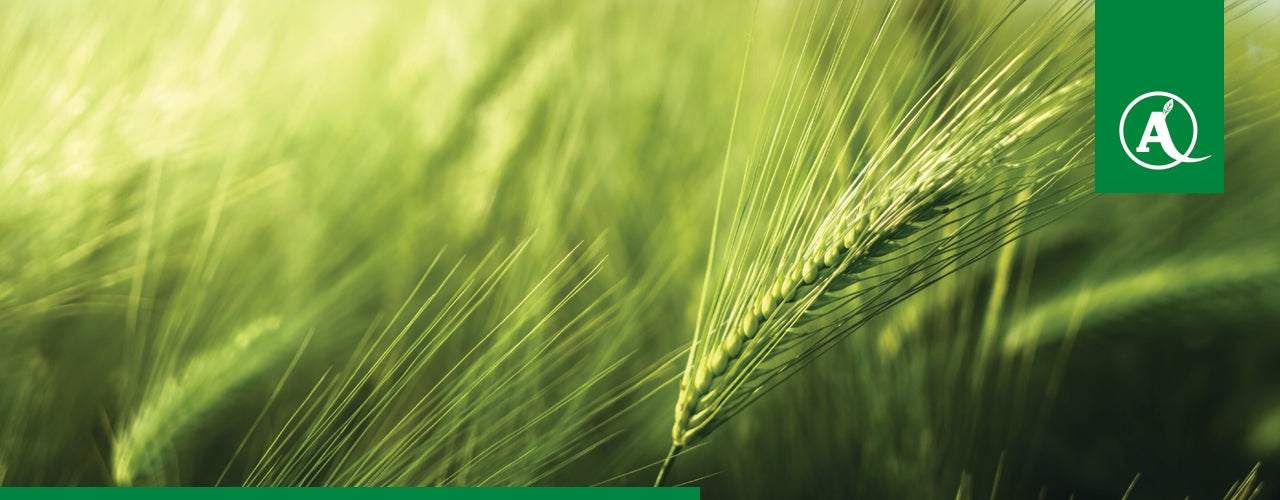 FERTILIZER Kristalon green NPK 18-18-18 3kg Manufacturer code KRISTALON zielony nawóz NPK krystaliczny