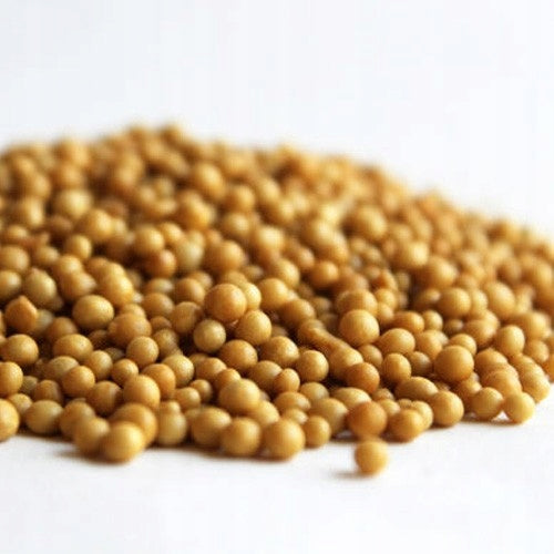 FERTILIZER OSMOCOTE EXTRACOTE ENCAPSULATED NPK 14-9-14 PROFESSIONAL 5-6M Manufacturer HARTMANN