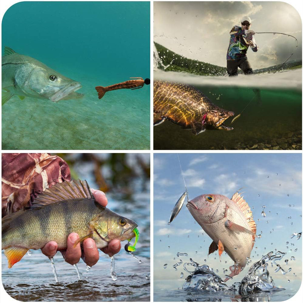 FISHING BOX FISH BAIT SET HOOK SPINNING ACCESSORIES Manufacturer code 4048508492039