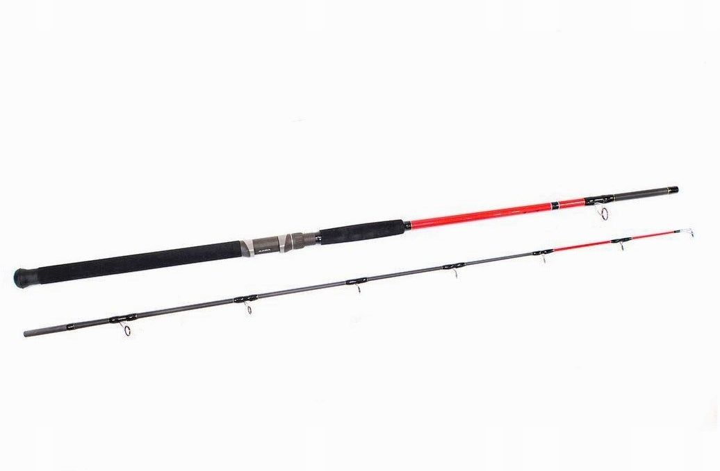 FISHING SET CATFISH FISHING ROD SUM CONCORDE 100-300g 3,0m+ REEL FC7000 Model KARPIÓWKA GRUNT GRUNTOWA ŻYWCOWA ŻYWCA SUMÓWKA RYB