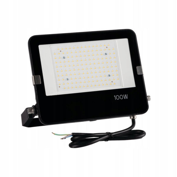 FL AGOR PRO 100W NW LED Floodlight