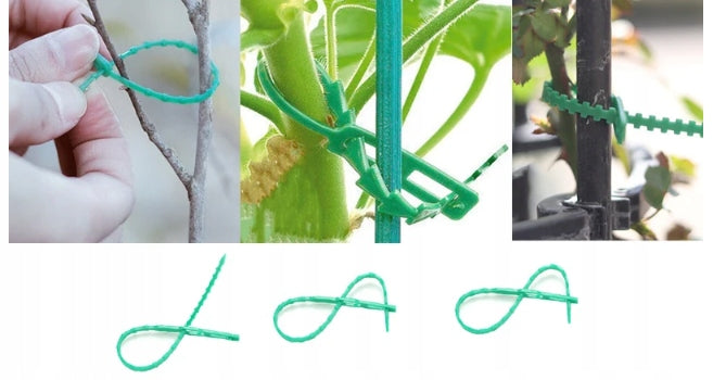 FLAT GARDEN BANDS FOR FASTENING PLANTS BRANCHES GREEN 17cm 100pcs Color green