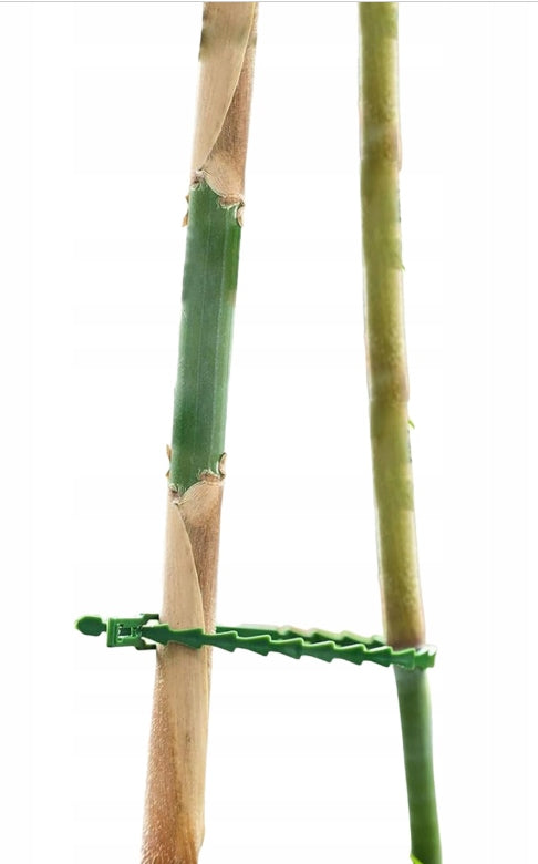FLAT GARDEN BANDS FOR FASTENING PLANTS BRANCHES GREEN 17cm 100pcs Number of pieces 100 pcs