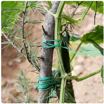 FLAT GARDEN WIRES FOR FASTENING PLANTS BRANCHES GREEN 15cm 200pcs EAN (GTIN) 5905247736369